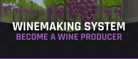 🍇 Winemaking System - Become a wine producer