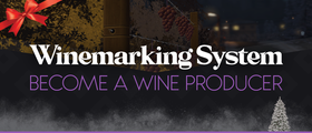🍇 Winemaking System - Become a wine producer