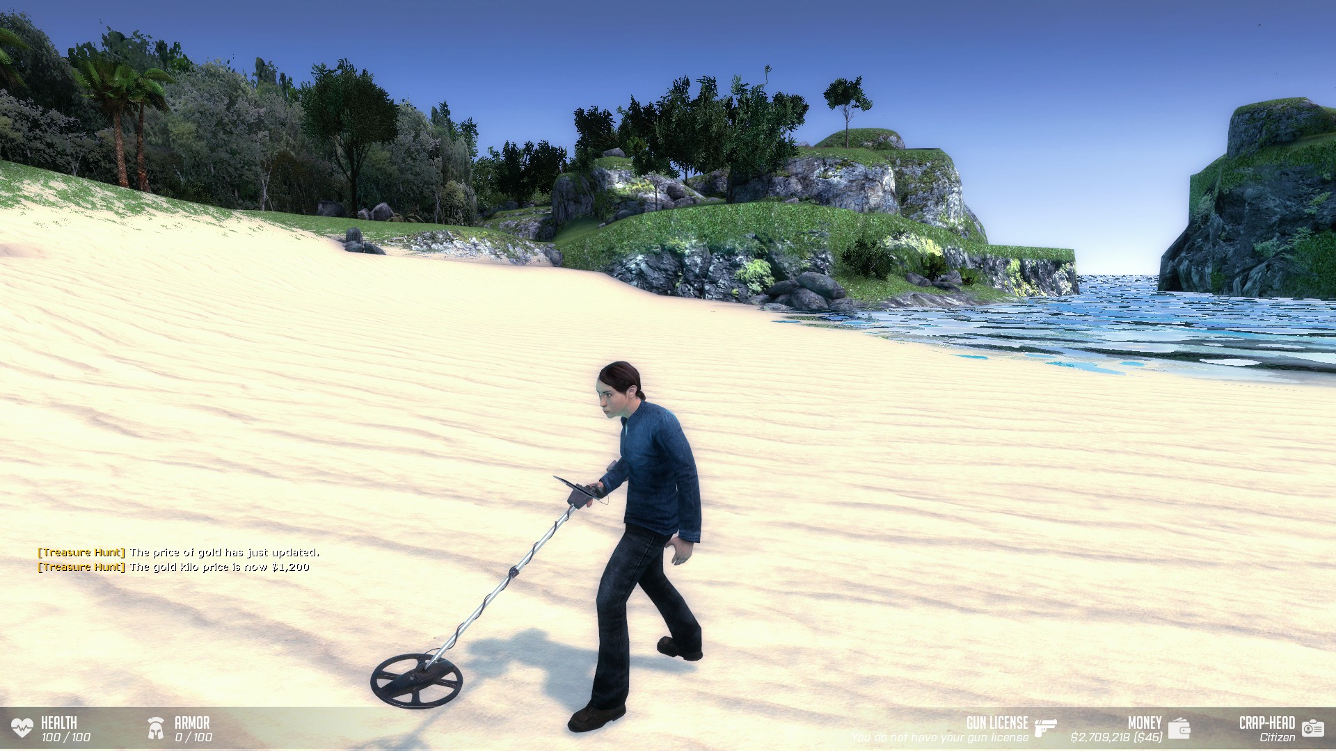 Metal detector