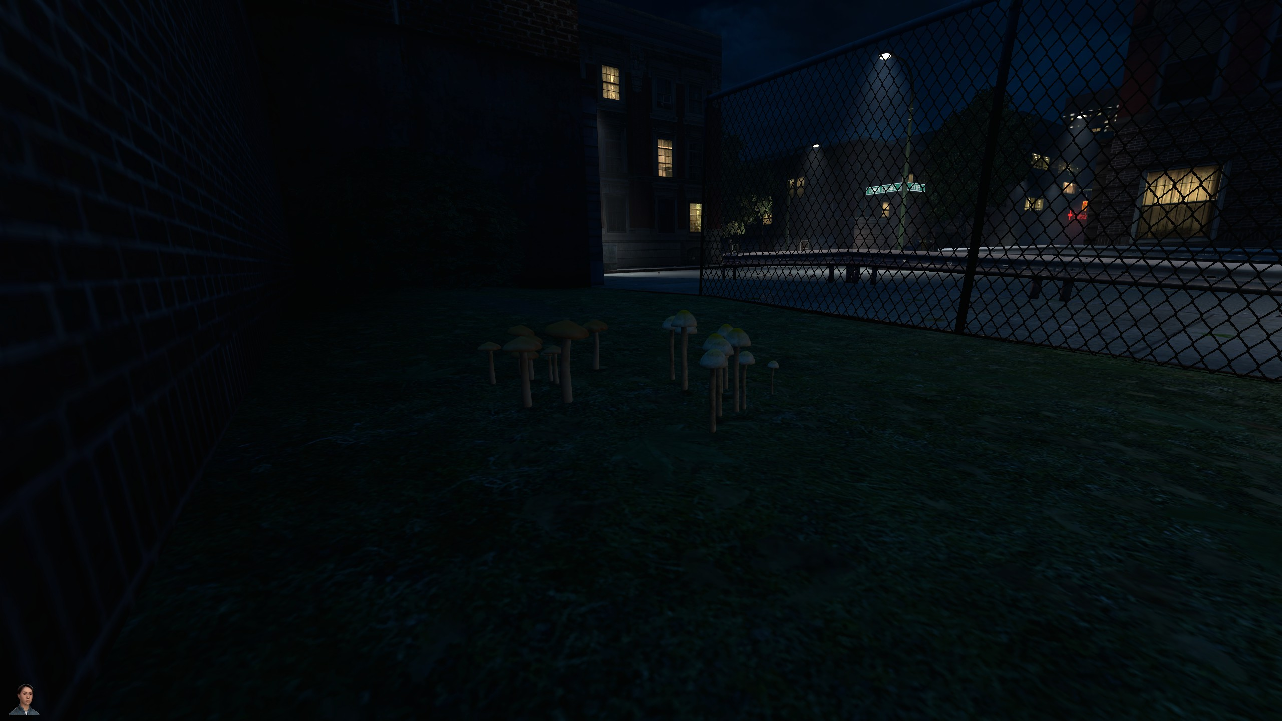 Growing Mushrooms