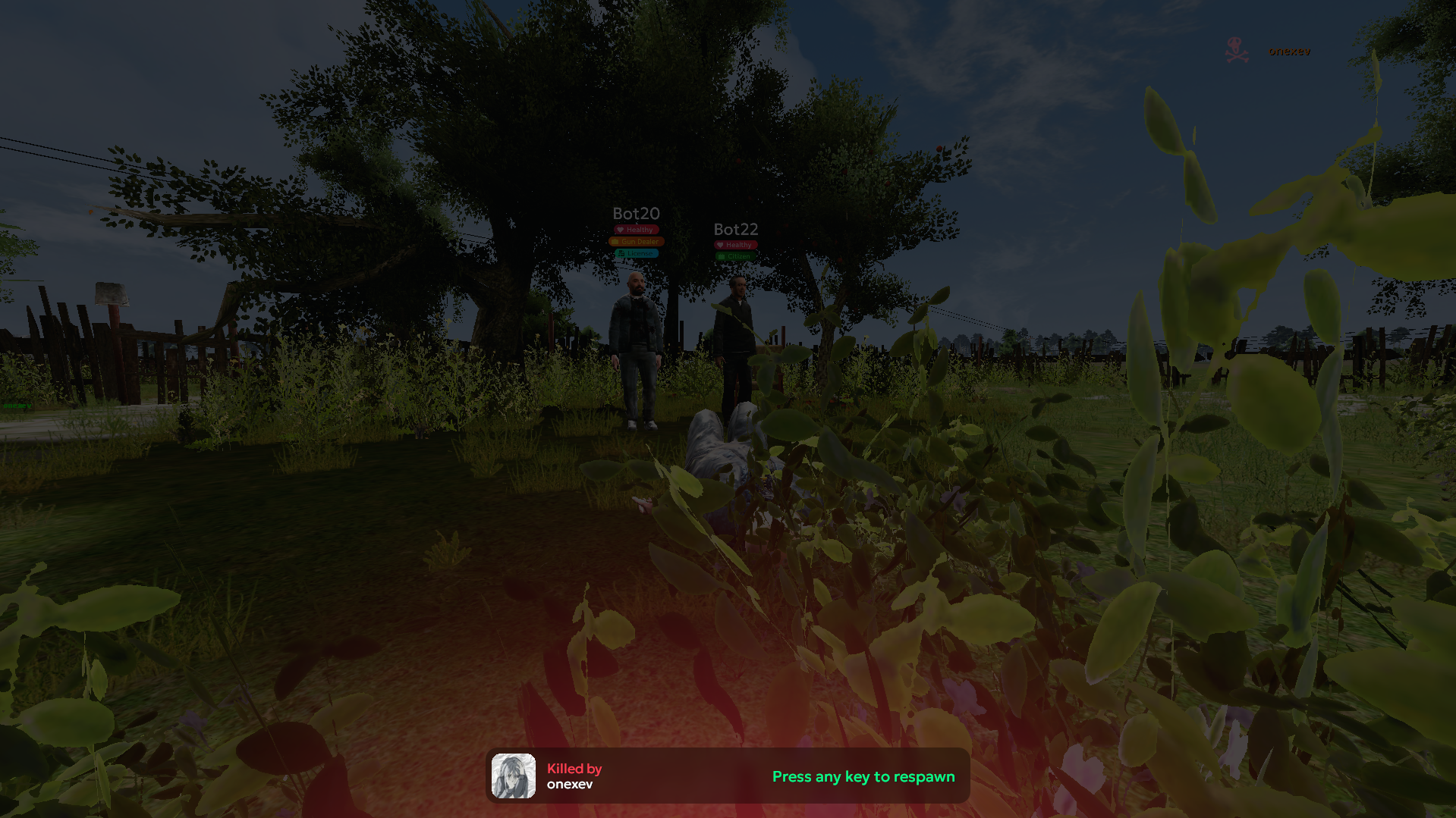 Death HUD